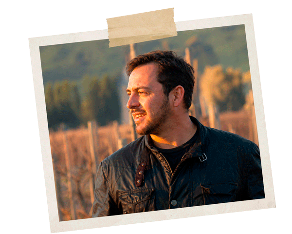 Mauricio Veloso en viñedo